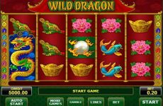 Bildresultat för Wild Dragon slot