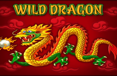 Bildresultat för Wild Dragon slot