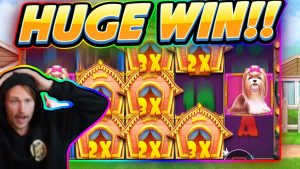 ENORM VINN !!! Dog House BIG WIN - Casinospel från CasinoDaddy Live Stream