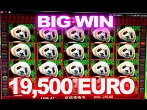 Kasyno Big Panda MEGA WIN 19,500 EUR!
