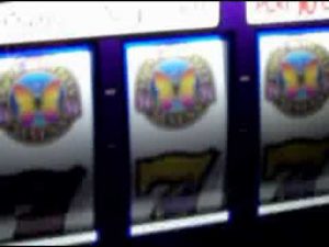 Wielka wygrana Karen we Flamingo!