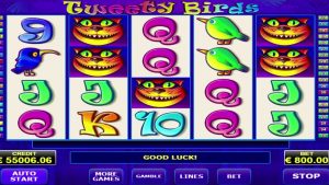 RECORD WIN na slot de casino online tweety birds - € 115500