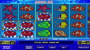 Wild haj online casino MEGA WIN - 173,600 XNUMX €