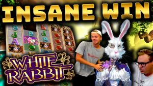 Vitória maciça no coelho branco!