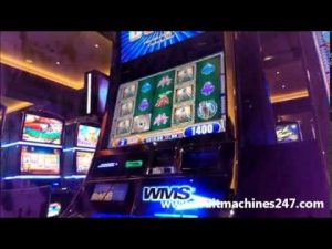 Kompilacja największej wygranej w automatach - ponad 1000 zwycięzców w automatach na prawdziwe pieniądze