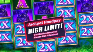 Apostas da Pantera de $ 50! ★ jackpot maciço ganha! PLAY JOGO AO VIVO DE MÁQUINA DE SLOT DE ALTO LIMITE AO VIVO!