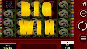 Big Panda Big Win / Forzza Casino Tunisie