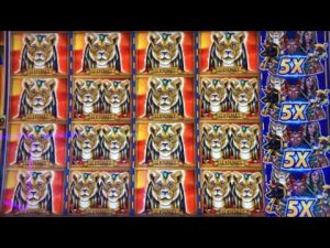 ★ VARUD! VARJUD! VARJUD! ★ Üllatunud tohutu võit! BIG 5 SAFARI / KING STACKS pesa (IGT) ☆ 彡 栗 ス ロ