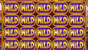 👑 Kompilacja Big Beauty Big Win 💰 Automat od Pragmatic Play.