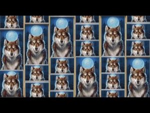 Frascos Jammin [ENORME VANTAGEM], Buffalo Rising MEGAWAYS (MEGA WIN), ranhuras DIÁRIAS # 174 do Livro dos Mortos (BIG WIN)