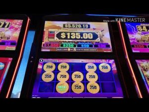 Wszystkie wygrane na pokładzie Pokie - Dynamite Dollars - zakład 2.50 $ Duża wygrana z MAXI