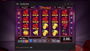 2 Zaruri miza 8 lei w większym stopniu niż die & Roll large WIN EGT