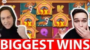 Najwięksi streamerzy wygrywają # 22 DOMEK NA ŻYWO dla psów domowych i bonus w kasynie DADDY HUGE WIN