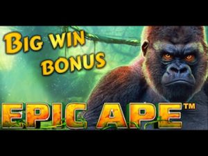 Epic Ape stor vinstbonus 265x. Playtech online slot