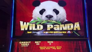Wild Panda Slot Machine Bonus stor vinst!