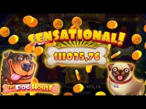 Canis familiaris house 🐕 🏠duże WIN unloose wiruje X-wow lol Rewelacyjny