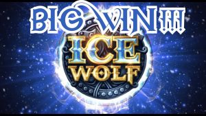 H2O lód WILK. duża WYGRANA !!! -ELK studia-