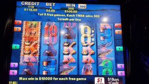 THE STAR Sydney - Pokies - duże czerwonawe 2 - 17 lipca 2017 - duże Wygraj drzewo 300 $