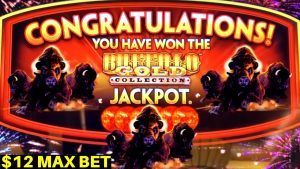 Wonder 4 BUFFALO Au Slot Machine Max Bonus | Pelican Pete Slot Machine Max Bet Bonus