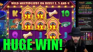 ROSHTEIN x660 roman WIN inhemsk hund House SLOT