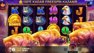 bonus kasynowy Meleği Slot | Buffalo Rex Oyununda Rewelacyjna wygrana !!! #slots #bigwin