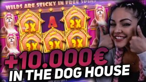 niedojrzała dama duża Wygraj 10.000 € na automacie domowym dla psów domowych - TOP 3 NAJLEPSZE WYGRANE CODZIENNIE!