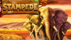 ♠ ️ Stampede
