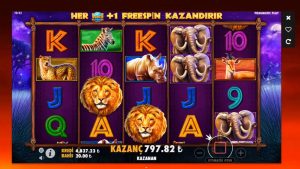 bônus de cassino Melegi Slot | Safari Rex Oyununda Aslan Avı !!! #slots #bigwin