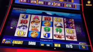 Buffalo Deluxe 💵large-WIN💵 @Chumash casino bonus
