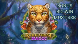 RAINFOREST MAGIC BONUS stor WIN