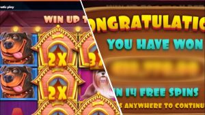 ULTRA duże WIN do wewnątrz Canis famis House !!! 😱🐶🤑 Najważniejsze cechy kasyna