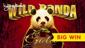 grande WIN, MAX BET! Wild Panda Au Slot - ÓTIMA SESSÃO!