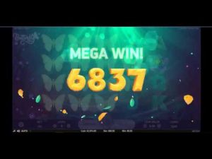 duża wygrana !!!!!!!!!!!!!!!! Butterflystaxx - bonus kasynowy online