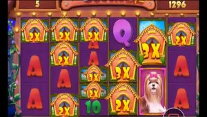 НЕДЕЛИ. Is В СЛОТЕ Canis familiaris HOUSE 2 MEGAWAYS. babban WIN