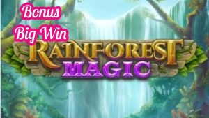 RAINFOREST MAGIC BONUS duża WYGRANA