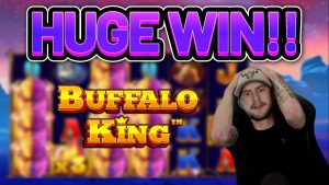 OGROMNA WYGRANA !!!! BUFFALO Rex large WIN - bonusowy automat kasynowy firmy Casinodaddy LIVE