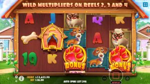 bonus kasynowy Melegi | Domowy Slot dla psa domowego | duży Win