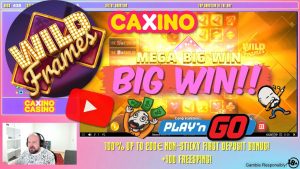 duża wygrana z Wild Frames Slot !!