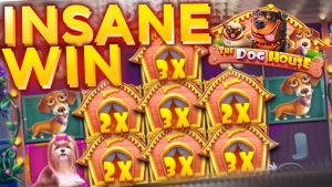 INSANO fita grande WIN cão doméstico Casa Pragmática casino bônus slot