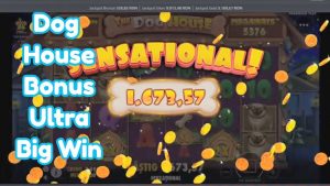 tamhund HOUSE MEGAWAYS BONUS ULTRA stor WIN