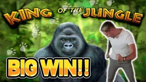 stor VINN! manly somebody monarch OF THE JUNGLE large WIN - € 60 BET på casinobonusspel från Casinodaddy LIVE-flöde