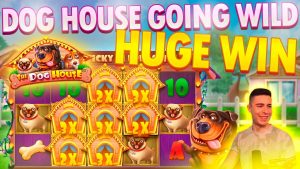 GALA INSTÄLLNING PÅ husdjur HUS 🎰 ENORM VINN PÅ PRAGMATISK SPEL ONLINE SLOTMASKIN