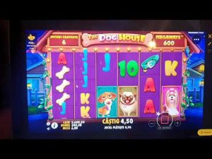 Canis familiaris House Megaways Princess casinobonus specială stor WIN