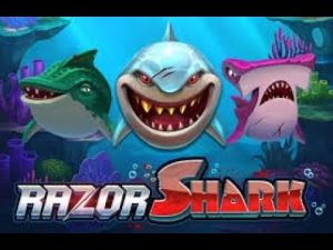 Aposta acima de 85,000x - a MAIOR vitória de todos os tempos no Razor Shark, um participante sueco!