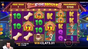 romanband VINNA PÅ husdjurshuset House Megaways ONLINE SLOT | Bästa vinster i kalenderveckans kasinobonus