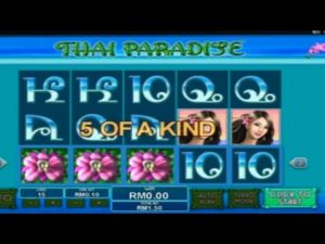 THAI PARDISE || Online casino bonusspel || stor vinst || Spelautomater || Protidin Gaming Channel
