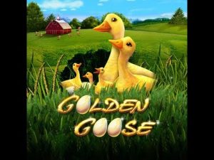 WILD LINE na Golden Goose duża WYGRANA - OGROMNA WYGRANA z bonusu kasynowego na żywo