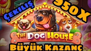dom dla psa domowego 950X Efsane Koyduk 11.000 TL (ÇEKİLİŞ) #slot #bigwin #casino bonus