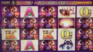 duże WIN Wonder 4 Buffalo 🦬🦬🦬🦬SUPER unloosen GAMES 💥