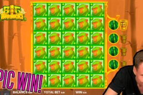 Streamer Epic Win - TOP 5 Biggest wins of the calendar week